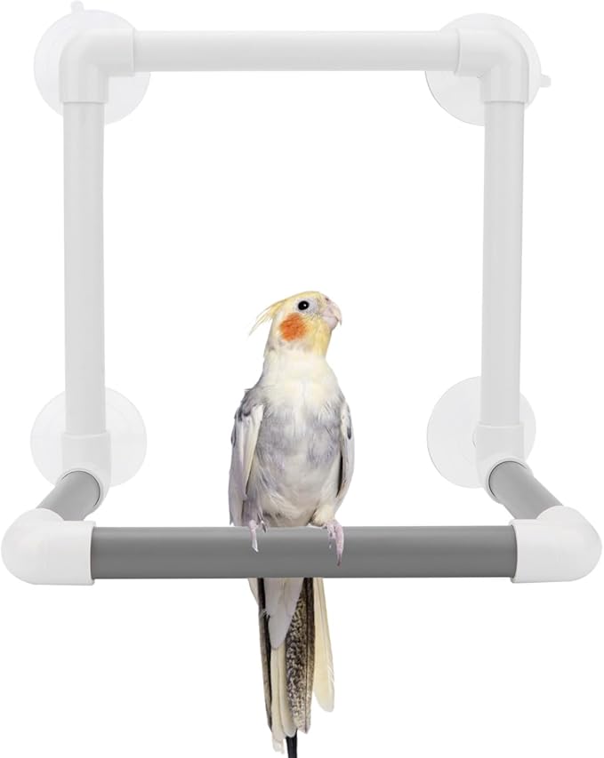 Hypeety Bird Parrot Stand Perch Shower Perch Standing Toy Portable Suction Cup Parrot Bath Stands Suppllies Holder Platform Parakeet Window Wall Hanging Play (4 Suction Cups)