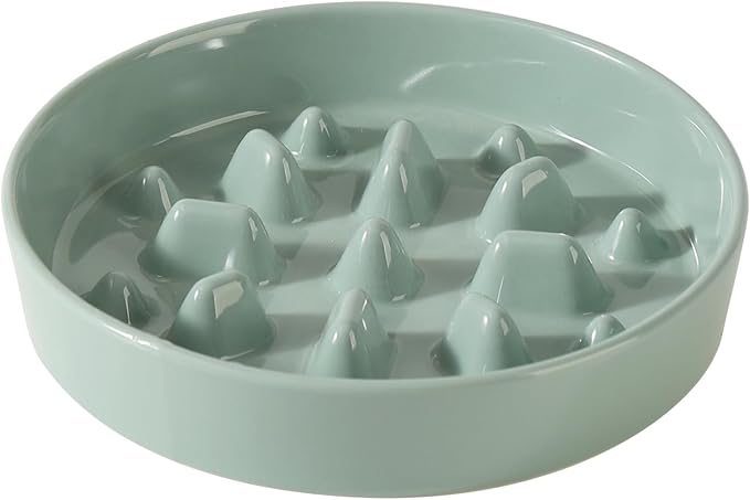 Havniva Ceramic 1.6 Cup Dog Bowl Slow Feeder, 8.2 inch Slow Pet Food Dish for Medium and Large Dog, Stop Bloat, Preventing Choking(Single Bowl, Light Green)