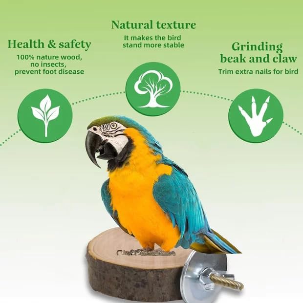 6 PCS Natural Wood Bird Perches Stand for Cage,Bird Perches for Bird Cages,Bird Cage Perch with Bolt and Wing Nut,Parrot Perch for Budgies Cockatiels Parakeets Conures