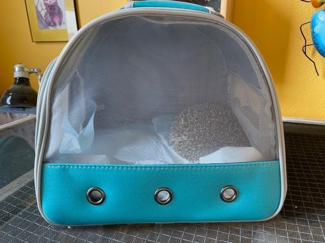 Small Animal Travel Carrier with Absorbent Pad Set, Pee Pad with Leak-Proof Quick-Dry Design for Guinea Pig,Portable Bearded Dragon Bag for Sugar Glider,Hedgehog,Rat,Bunny,Rat
