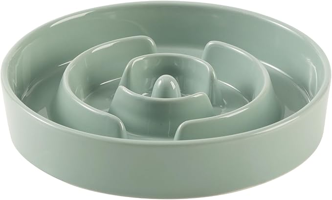 Havniva Ceramic 3.2 Cup Slow Feeder Dog Bowl for Large Dog, 9.5inch Puzzle Food Dish, Anti-Gulping, Stop Bloat, Preventing Choking (Single Bowl-Light Green)