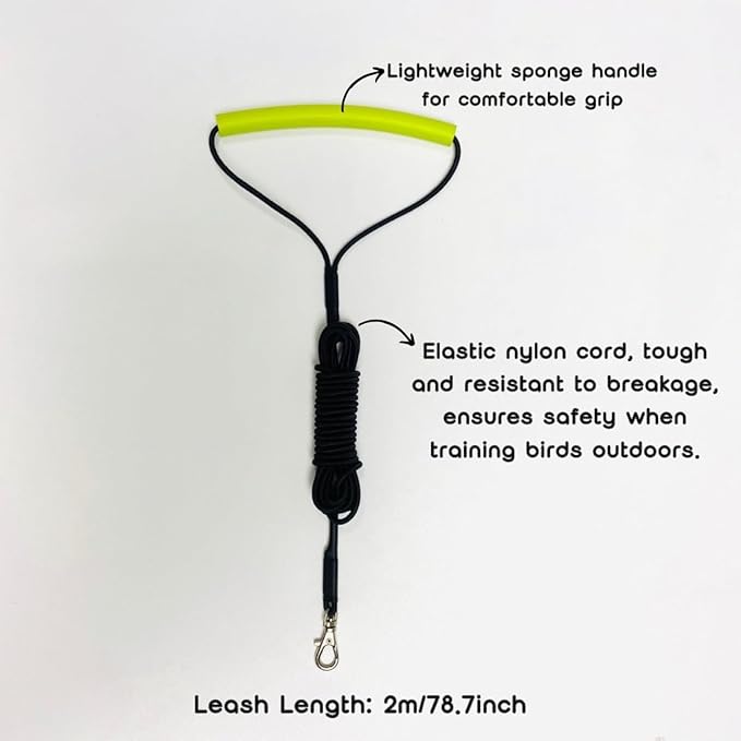 Adjustable Bird Harness with Elastic Leash, Pet Parrot Harness and Leash, Adjustable Training Design Anti-Bite, Bird Nylon Rope with Cute Wing for Conure (Grey,XL)