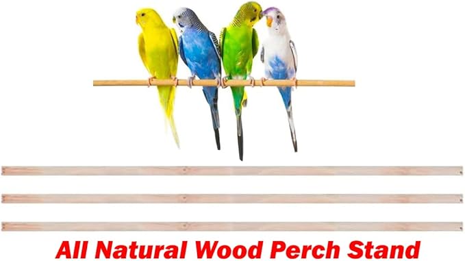 Portable Bird Cage for Quaker Indian Ring Neck Small Parrots Cockatiels Sun Parakeets Green Cheek Conures Finches Canary Budgies Lovebirds Parrotlets with Removable Rolling Stand