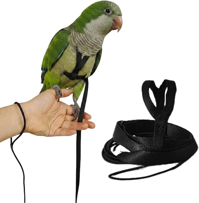 Adjustable Bird Harness and Leash for Parrots Outdoor Flight Training Anti-Bite Light Weight Easy-to-Wear Bird Vest with 59 Inch Elastic Leash for Quaker Conure African Grey Macaw Cockatoo (XS)