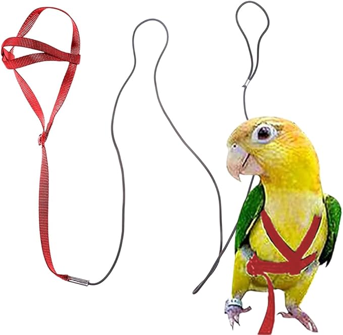 Adjustable Bird Harness and Leash,Anti-Escape Durable Nylon Parrot Harness, Flying Training Rope Parrot Leash for Small Medium Large Breed Parrots Fits Chest Under 18.5'', Purple S