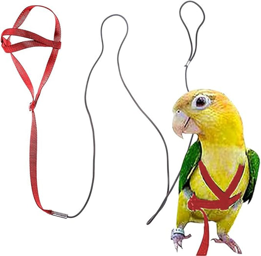 Adjustable Bird Harness and Leash,Anti-Escape Durable Nylon Parrot Harness, Flying Training Rope Parrot Leash for Small Medium Large Breed Parrots Fits Chest Under 18.5'', Purple S