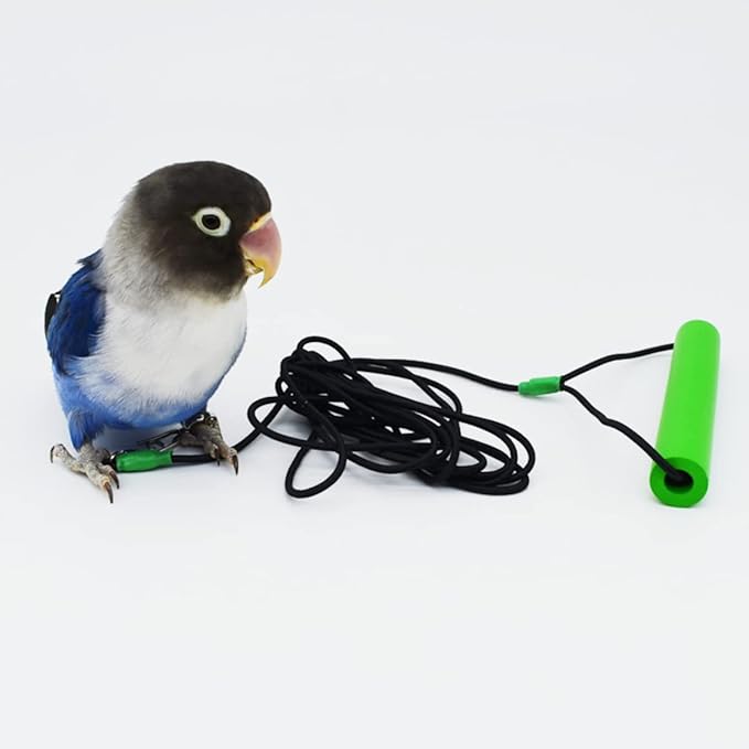Bird Foot Chain with Flying Latex Elastic Training Rope Outdoor Parrot Ankle Foot Ring Accessories Bird Harness Leash Prevent Escaping (Model7-With 78.7inch Leash)