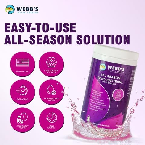 All-Season Beneficial Pond Bacteria with Barley Packets - Bacteria for Ponds Ideal for Clearing Any Fish and Duck Pond Applications - 24 Packet Container- Webb's Water Gardens