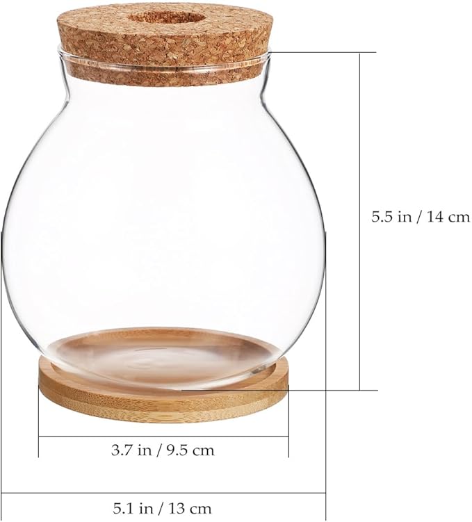 Desktop Hydroponic Fish Bowl Glass Terrarium for Betta Fish with Bamboo Base Small Aquarium for Home Office Decoration