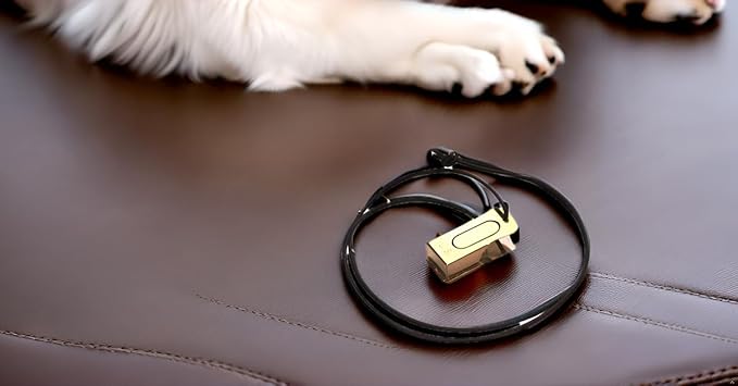 Mythrojan Brass and Steel Pet Training Clicker Puppy Dog Training Cricket Clicker U.S. Engraved WII Military Gear Metal Clicker (Clicker Pack of 2Pcs)