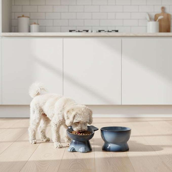 Nihow Dog Food & Water Bowls: Elevated Ceramic Bowls for Medium/Small Dog | Food Safe Raised Puppy Bowls - Gray Pet Bowl for Protecting Pet's Spine (Set of 2)