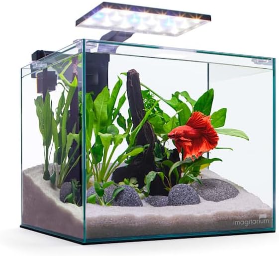 Imagitarium by Petco Glass Betta Aquarium Kit 5 Gallons