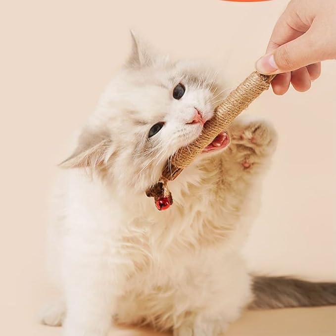 Vintage & Haven 3 Pcs Natural Silvervine Sticks Cat Toys, Catmint Silvervine Blend Sticks, Kittens Chew Toys for Teeth Cleaning, Matatabi Dental Care Cat Treat, Consumable Kitty Lick Toys (3 Pcs)