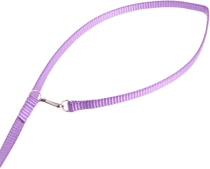 Pet Bird Harness Leash, Adjustable Parrot Flying Rope, Bright Color for Parrots, Pigeons, Lovebird, Outdoor Training, Anti-Flyaway, Green, Purple, Pink, Blue, Orange, 0.8x120cm/0.31x47.24''