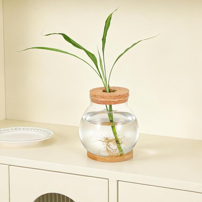 BESTOYARD Desktop Fish Bowl Hydroponic Terrarium Small Glass Fish Tank with Bamboo Cushion Betta Bowl for Desk Table Shelf Plant Display Home Office Party Decor