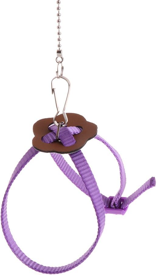 Pet Bird Harness Leash, Adjustable Parrot Flying Rope, Bright Color for Parrots, Pigeons, Lovebird, Outdoor Training, Anti-Flyaway, Green, Purple, Pink, Blue, Orange, 0.8x120cm/0.31x47.24''