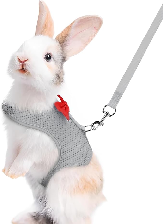Grey Rabbit Harness and Leash Set, with Cute Bow Soft Breathable Mesh Bunny Vest Harness for Rabbits Kitten Ferret Puppy Small Pets Walking, M