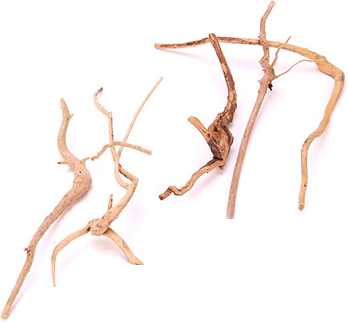 5 Pcs Aquarium Driftwoods Natural Driftwood Fish Tank Decorations Solid Reptile Wood Branches for Fish Tank Small Fish Hiding