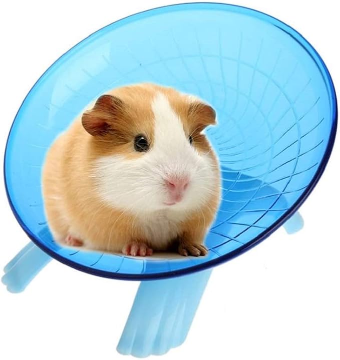 Litewood Small Hamster Wheel Hermit Crab Wheel Small Animal Flying Saucer Spinner Silent Running Exercise Toy Cage Tank Accessory for Dwarf Hamster Gerbil Mouse Rat Mice Hermit Crab (Blue)