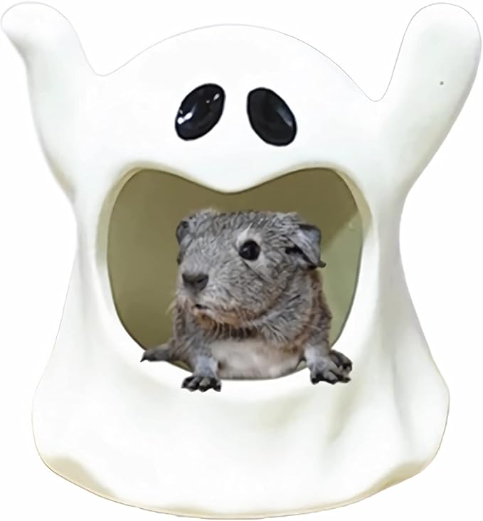 Specter Ceramic Guinea Pig Bed Cool Cave Beds Hamster House Hideout for Chinchilla Rabbit Dwarf Bunny Ferret Bunny Hedgehog Rats Summer Cage Nest