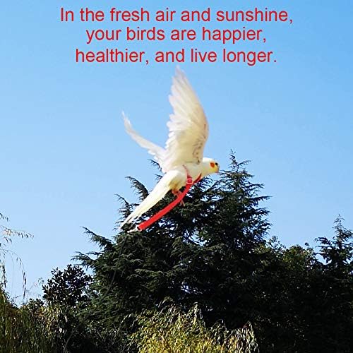 Adjustable Bird Harness with 80 Inch Leash, Outdoor Flying Kit Training Rope for Bird Parrots Cockatiel S Size Weight 70-120 Grams, Burgundy Red