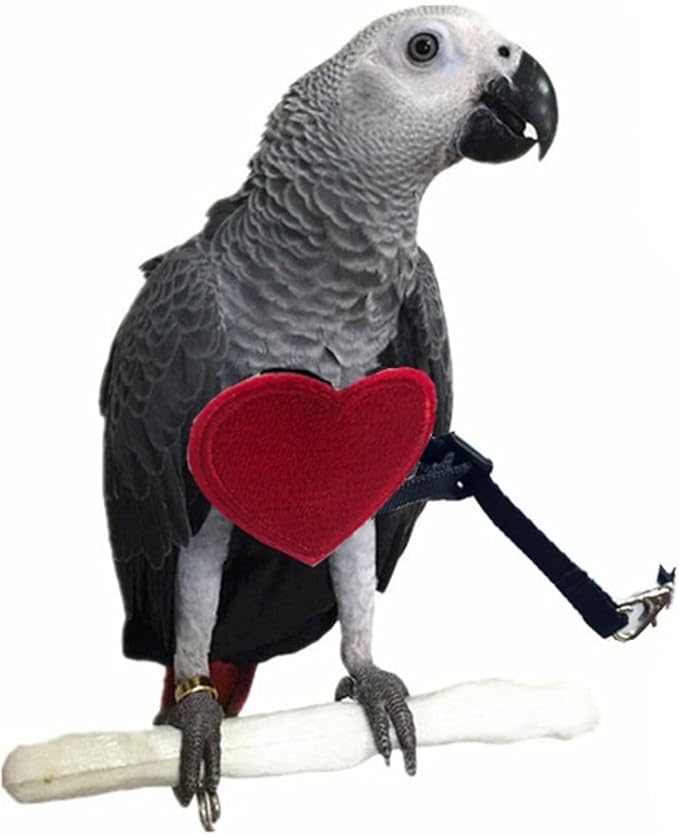 Adjustable Birds Harness and Leash Parrot Harness Leash Training Supplies Pet Anti-bite Outdoor Flying Rope for Conures Budgerigar Lovebird Cockatiel Mynah (XS)