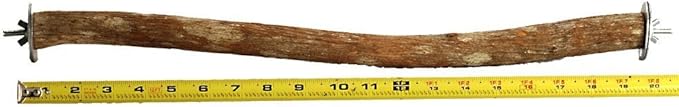 Polly's Full Length Hardwood Bird Perch, 20-Inch