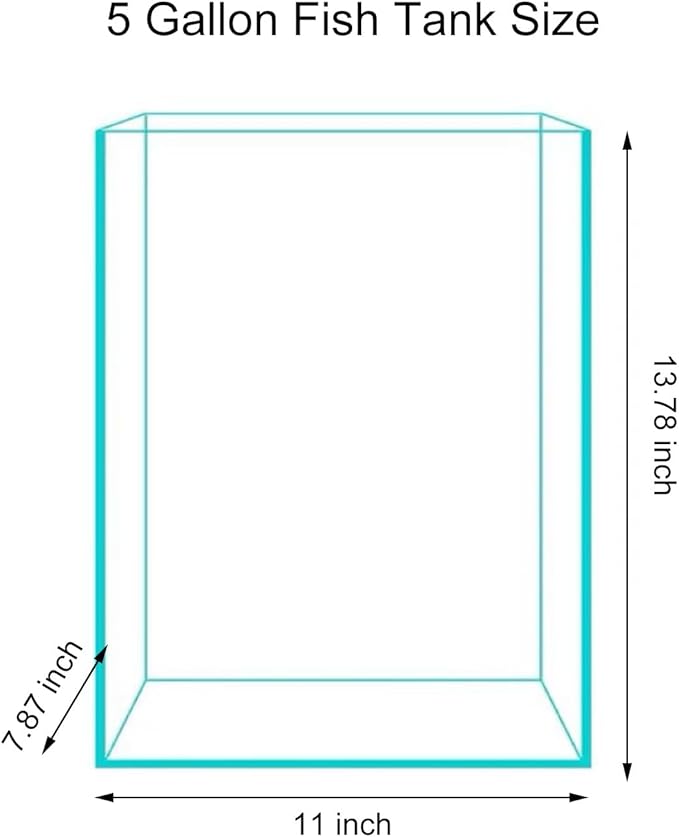 Vimvins 5 Gallon Glass Fish Tank, Easy to Maintain Small Aquarium for Betta/Snails/Shrimp and Aquatic Planting.