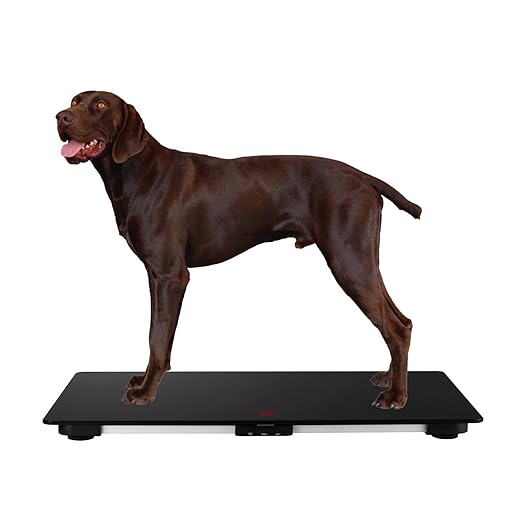 SIKE Large Breed Veterinary Scale, Dog Scale (±10g) Accuracy, Red LED, 36 x 24 inch Tempered Glass Platform with Anti Slip Sticker, Digital Pet Scales