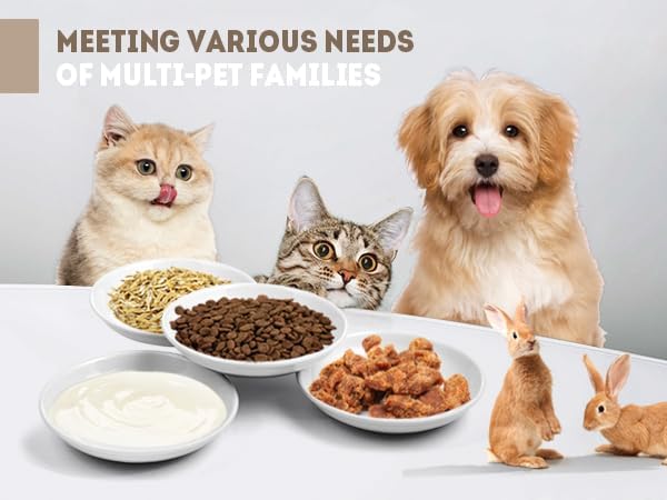 Cat Bowls for Indoor Cats, 8 Anti Whisker Fatigue Cat Food Bowl, No Spill Cats Dishes for Food and Water, Ceramic Kitten Bowls Shallow Wide Plates for Pets, Non-Slip Base, with 4 Spring Toys