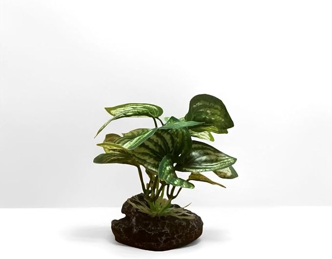 JGbaby Artificial Aquarium Plants,Fish Tank Decorations Betta Leaf Hammock 4in Realistic Silk & Plastic Plants, Hideout Decor for Betta. Goldfish,Reptiles,Small Tanks (Green Type-C)