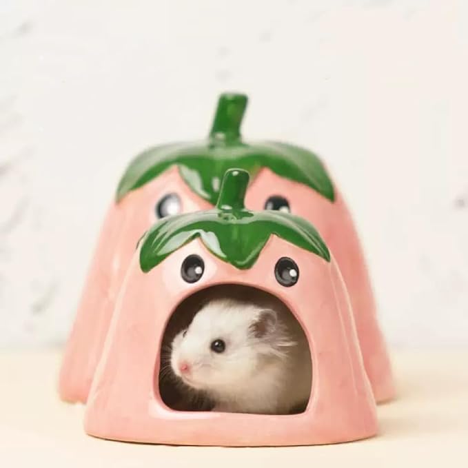 Ceramic Hideout for Hamsters - Fun & Cozy Small Animal Shelter, Cute Eggplant Shape