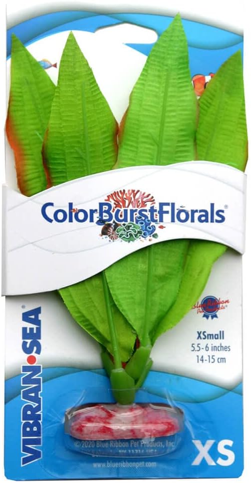 ColorBurstFlorals Amazon Sword XSmall Silk Aquarium Plant
