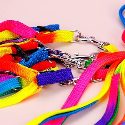 Hypeety Pet Bird Harness and Leash with Buckle Adorable Rainbow Design Safe Parrot Leash Pet Harness Outdoor Adjustable Anti Bite Training Rope for Macaw Large Size Bird (1.5cm × 47.24in)