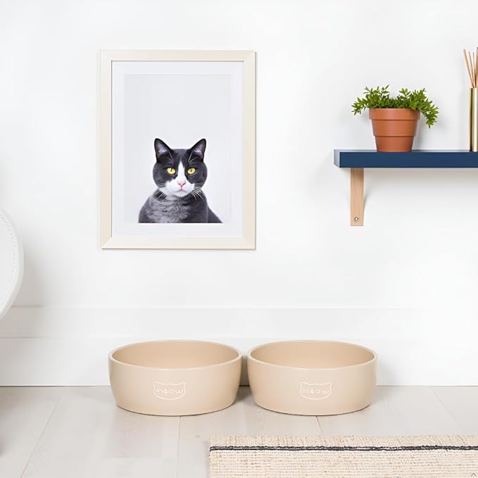 Pearhead Ceramic Cat Bowl – Neutral Taupe “Meow” Design, Holds 12 oz, Stoneware Pet Dish, Whisker-Friendly Pet Feeding, Non-Skid