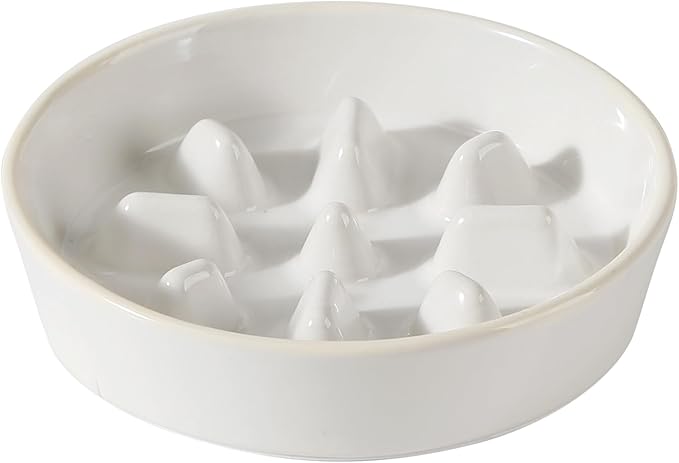 Havniva Slow Feeder Dog Bowls, 1.2 Cups Ceramic Dog Food Bowls 7.3 inch Slow Feeder for Small Dogs Puzzle Bowls for Fast Eater, Pet Slow Feeding Dish Anti-Choking