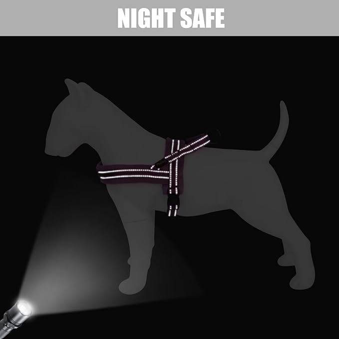 Didog Soft Flannel Padded Dog Vest Harness, No Pull/Quick Fit Reflective Dog Strap Harness, Easy for Training Walking (M:Chest 22-26", Purple)