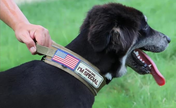 2.5" Tactical Dog Collar for Large Dogs, Adjustable Heavy Duty Military Nylon Dog Collar with Reflective Stitching & Padded Handle for Hiking/Running/Training (Khaki, L,XL)