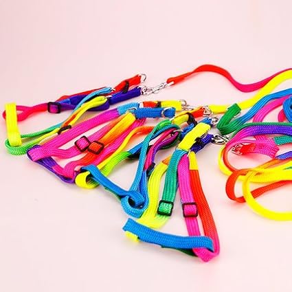 Hypeety Pet Bird Harness and Leash with Buckle Adorable Rainbow Design Safe Parrot Leash Pet Harness Outdoor Adjustable Anti Bite Training Rope for Macaw Large Size Bird (1cm × 47.24in)