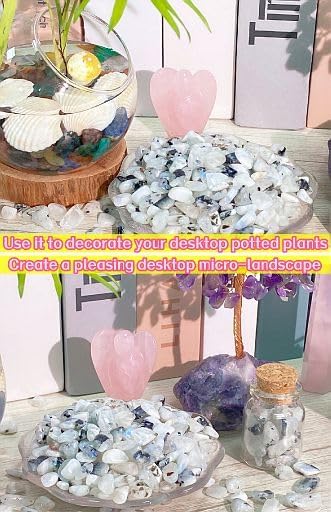 YATOJUZI Moonstone 1LB Aquarium Gravel Rocks Bulk Wholesale Tumbled Crystals Stones Chips Crushed Reiki Energy Balancing Gemstones for Planters Vase Filler Fountain Fish Tank Potted Decor