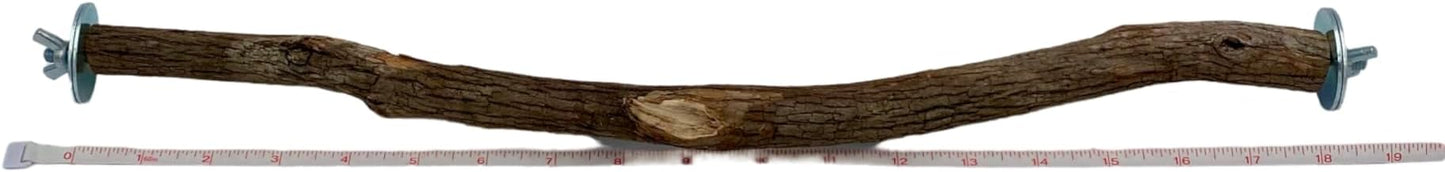 Polly's Full Length Hardwood Bird Perch, 18-Inch