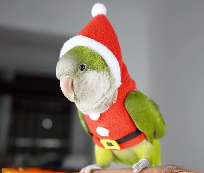 Bird Clothes Birds Flight Suit, Christmas Hoodie for Parrots Cockatiel Sun Conure Christmas Party Cosplay Photo Prop Bird Shirt Small Animals Apparel (with Diaper,Amazon)