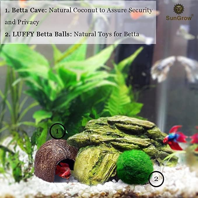 SunGrow Betta Fish Caves, Habitat Made from Coconut Shell, Soft-Textured Smooth Edged Spacious Hideout for Resting and Breeding, 2 Pcs