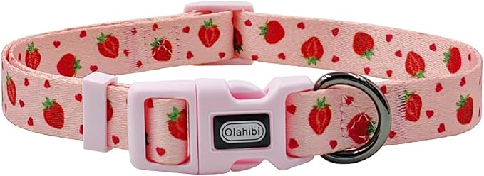 Dog Collar Leash Set, Fruit Pattern, Polyester Material, Adjustable Collar and 5ft Matching Leash, for Medium Dogs.(M, Strawberry)