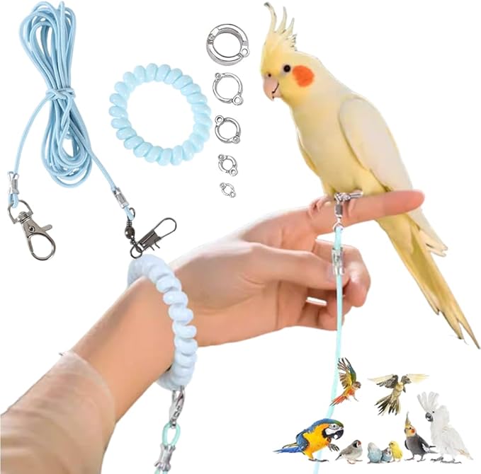 OULIGET Parrot Flying Training Rope with 5 Size Bird Foot Ring,Outdoor Flying Kit Bird Traction Rope,Training Toy Prevent Escaping for Cockatiels Birds Pigeon