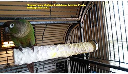 Polly's Edible Cuttlebone Calcium Bird Cage Perch for Budgies, Parakeets, Amazons, Blue & Golds, Macaws and Cockatoos.… (Variety, Medium)