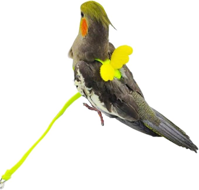 Adjustable Bird Harness Leash Parrot Flying Rope Straps Outdoor Training Traction Rope for Small Parrots, Random Color