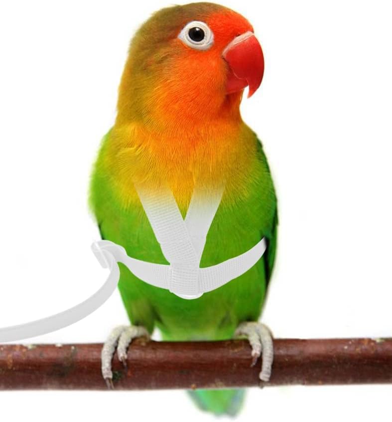 VANFAVORI Adjustable Bird Harness with 80 Inch Leash, XS Size for Peony Parrot Love Bird Weight 40-55 Grams with Outdoor Flying Training Rope, White