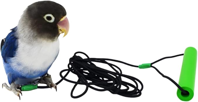 Bird Foot Chain with Flying Latex Elastic Training Rope Outdoor Parrot Ankle Foot Ring Accessories Bird Harness Leash Prevent Escaping (Model7-With 157.5inch Leash)