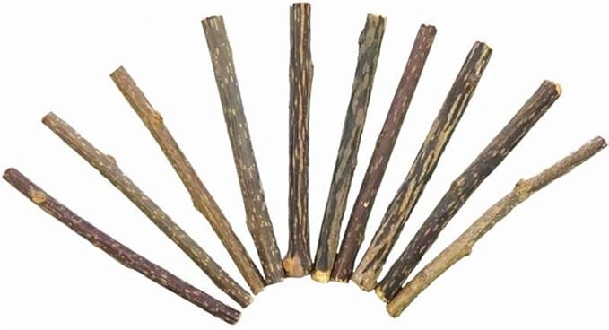 Smokey's Stash 10 Catnip Alternative for Cats Matatabi Silvervine Sticks for Clean Teeth Potent chew Toy
